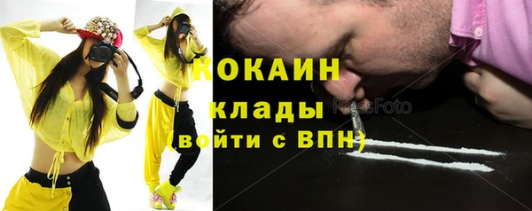 spice Аша