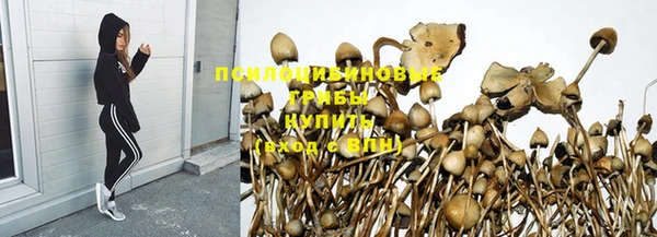 a pvp Вязьма