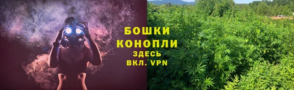 сатива Волосово