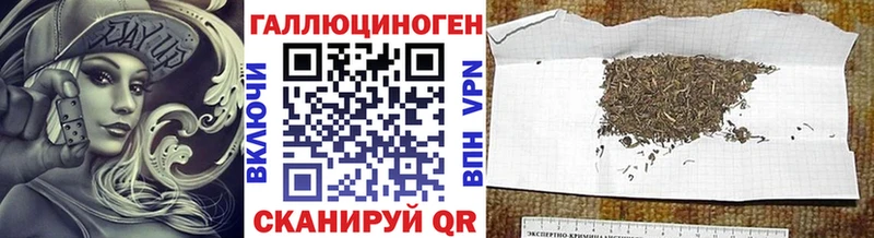 Псилоцибиновые грибы мицелий  кракен ССЫЛКА  Калач  нарко площадка Telegram  купить наркоту 